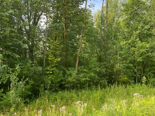 TBD 175th, Ogilvie, MN 56358