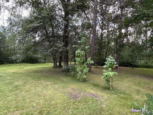 22735 County 18, Nevis, MN 56467