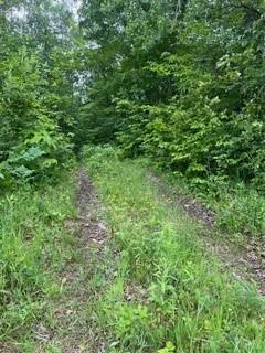 26259 County Road 26, Garrison, MN 56450