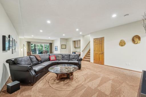 Large lower level family room/entertainment area