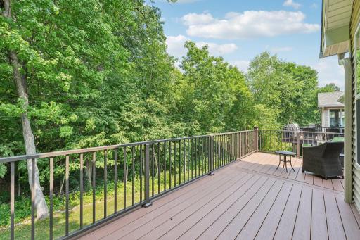 17258 Tilia Ridge, Eden Prairie, MN 55347