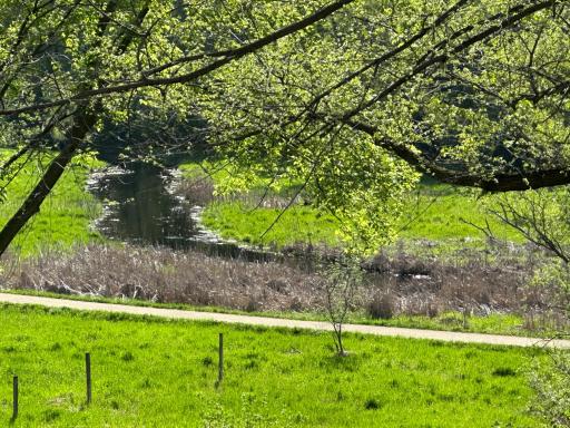 The backyard creek offers a picturesque backdrop