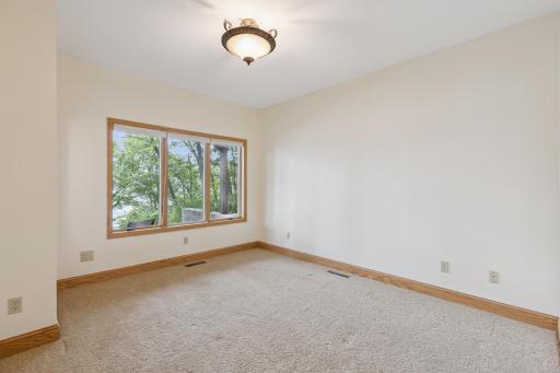 The third lower-level bedroom is large with a walk-in closet and great views looking out over Lake Pulaski.