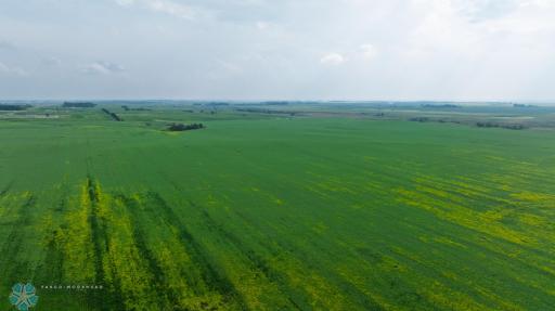 TBD 6 Avenue NE, Souris, ND 58783