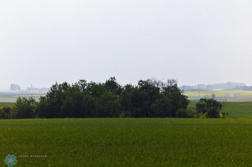 TBD 6 Avenue NE, Souris, ND 58783