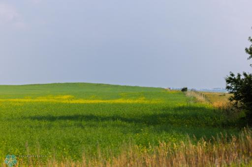 TBD 6 Avenue NE, Souris, ND 58783