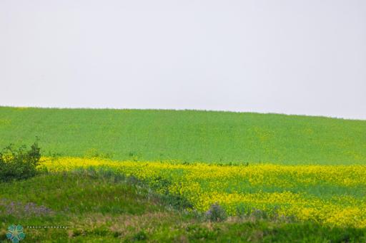 TBD 6 Avenue NE, Souris, ND 58783