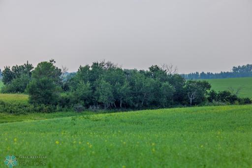 TBD 6 Avenue NE, Souris, ND 58783