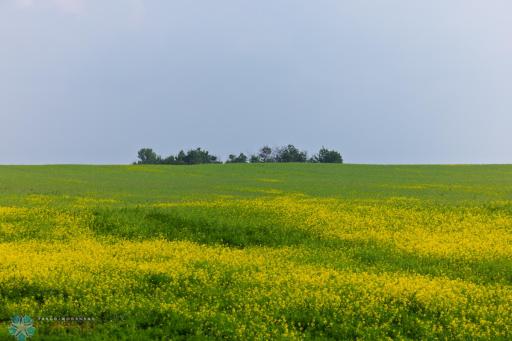 TBD 6 Avenue NE, Souris, ND 58783