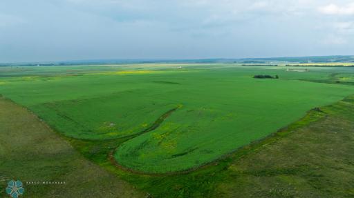 TBD 6 Avenue NE, Souris, ND 58783