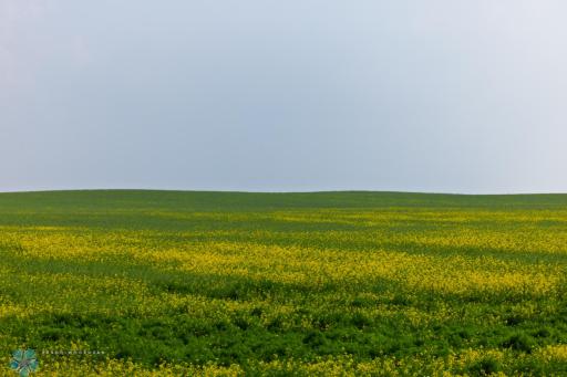 TBD 6 Avenue NE, Souris, ND 58783
