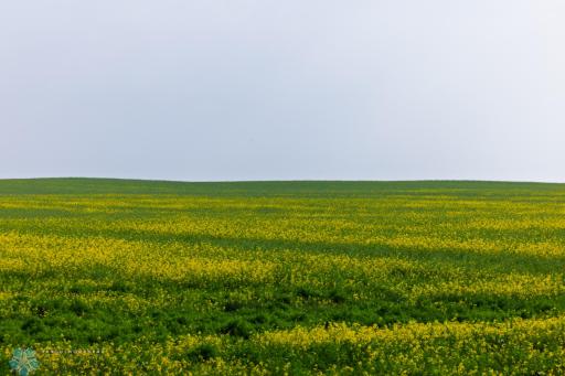 TBD 6 Avenue NE, Souris, ND 58783