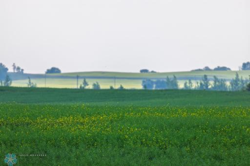 TBD 6 Avenue NE, Souris, ND 58783