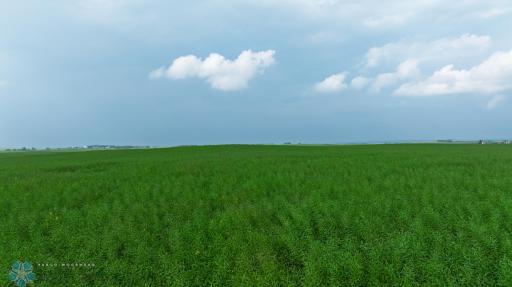 TBD 6 Avenue NE, Souris, ND 58783