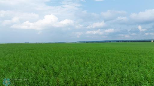 TBD 6 Avenue NE, Souris, ND 58783