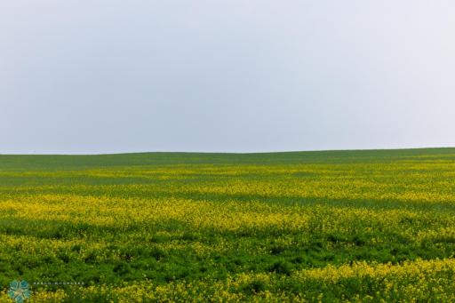 TBD 6 Avenue NE, Souris, ND 58783