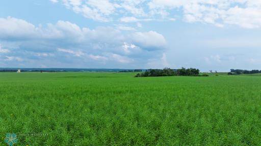 TBD 6 Avenue NE, Souris, ND 58783