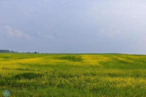 TBD 6 Avenue NE, Souris, ND 58783