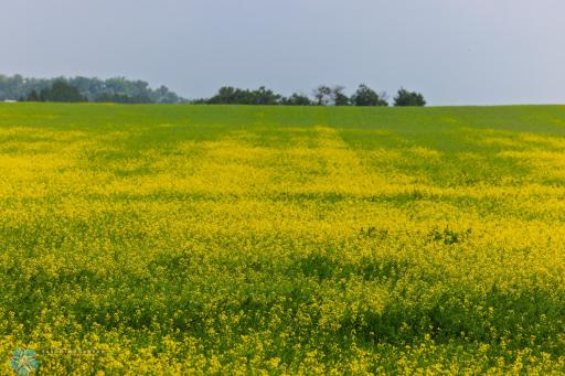 TBD 6 Avenue NE, Souris, ND 58783