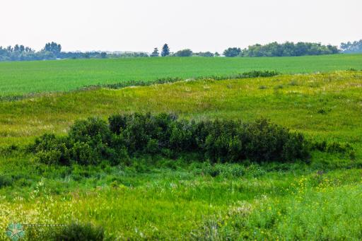 TBD 6 Avenue NE, Souris, ND 58783