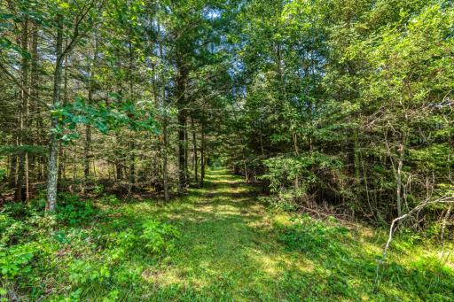 46441 255th Avenue, Laporte, MN 56461