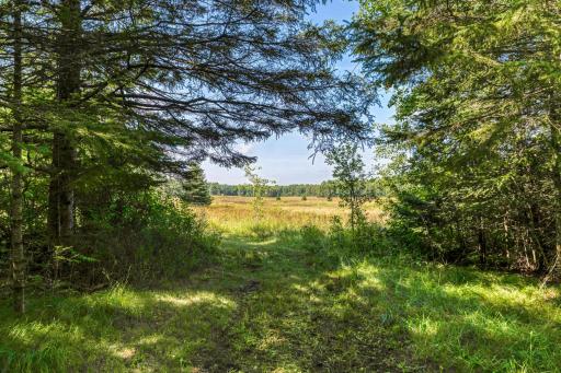 46441 255th Avenue, Laporte, MN 56461
