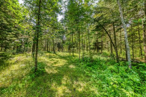 46441 255th Avenue, Laporte, MN 56461