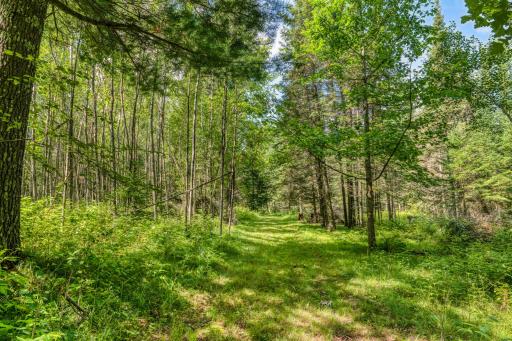 46441 255th Avenue, Laporte, MN 56461
