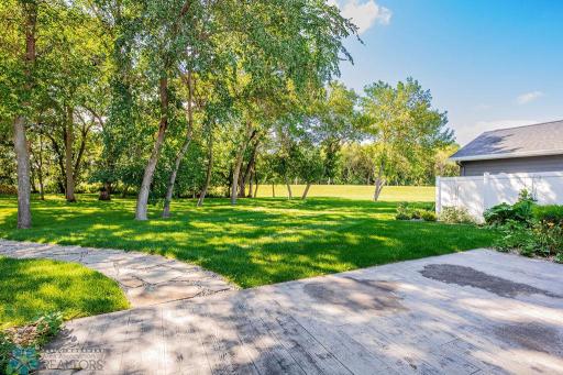 HUGE backyard with lots of trees, privacy and space to roam