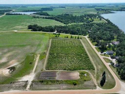 Beautifully maintained six acre vineyard.