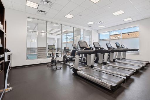 Stay energized with a full lineup of cardio options, all in a bright, open space.