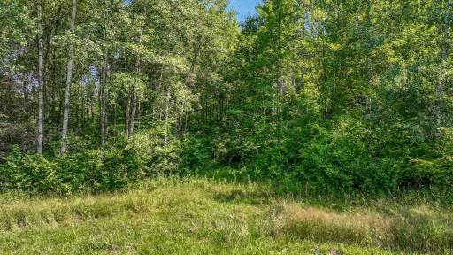 W3828 Walrath Road, Glen Flora, WI 54526