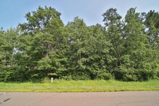 TDB Paper Birch Drive, Baxter, MN 56425