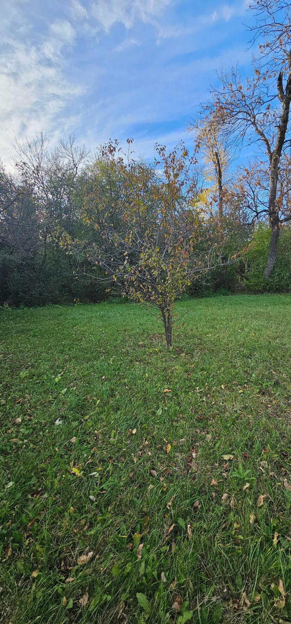 20251013_164439.jpg