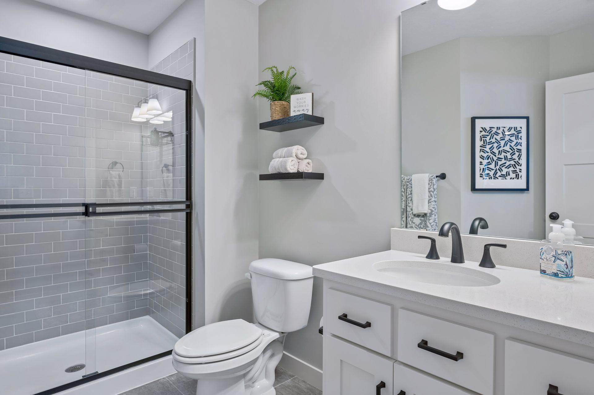 Lower level bathroom