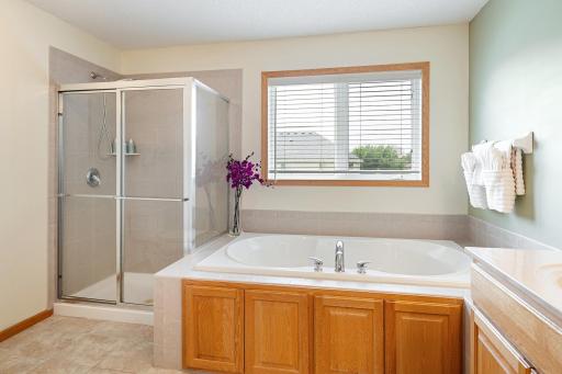 17985 Strawberry Court, Eden Prairie, MN 55347