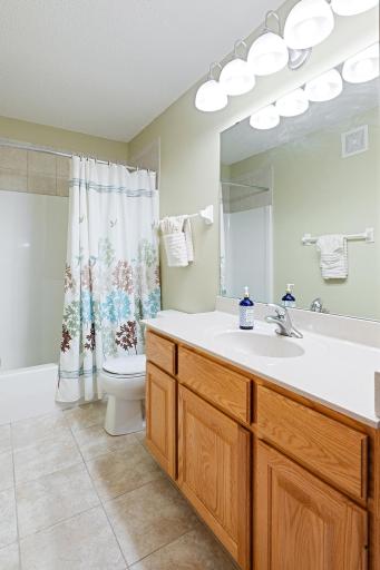 17985 Strawberry Court, Eden Prairie, MN 55347