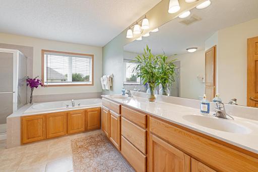 17985 Strawberry Court, Eden Prairie, MN 55347