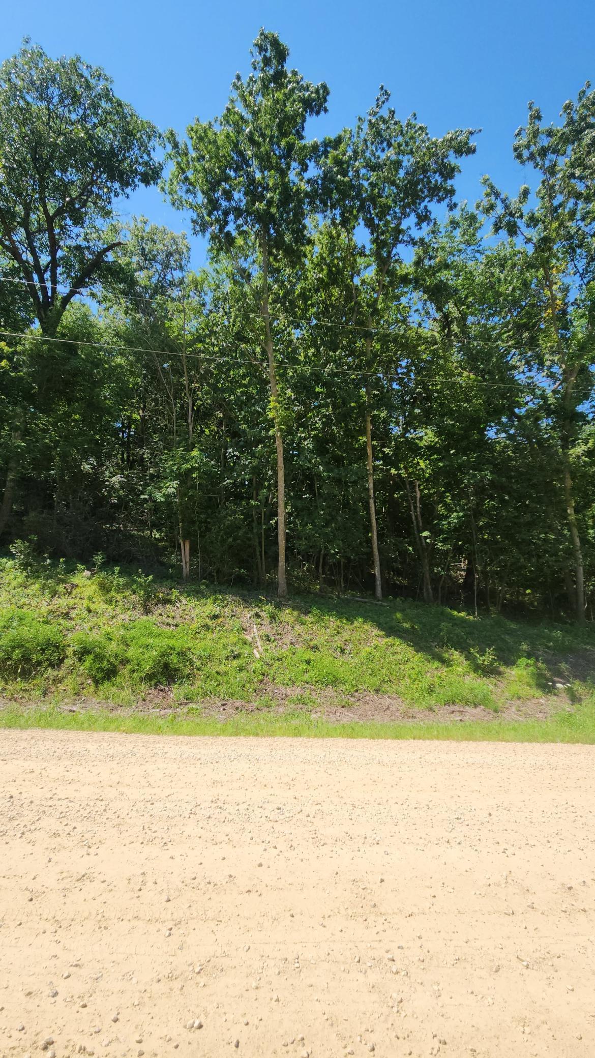 Property photo for XXXX Cedar Beach Drive NW, Oronoco, MN 55960