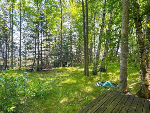 16779 Angle Shoreline, Angle Inlet, MN 56711