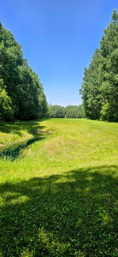 Photo for 2965 Bankton Road SW, Baudette, MN 56623 - Listing #6763603 2965 Bankton Road SW, Baudette, MN 56623