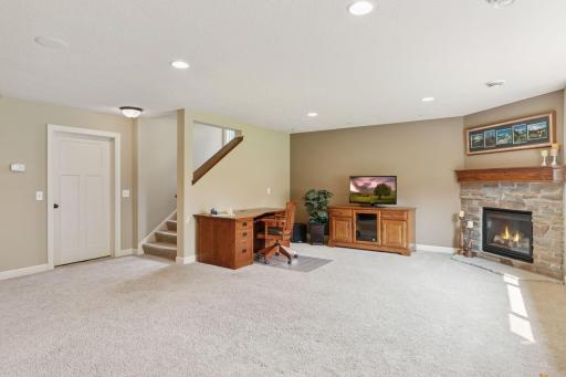Lower Level Livng Room