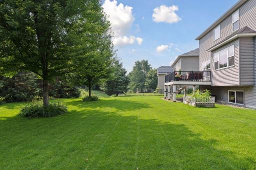 Extra Trees & Perennials in Yard