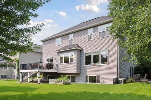 Exterior Backyard