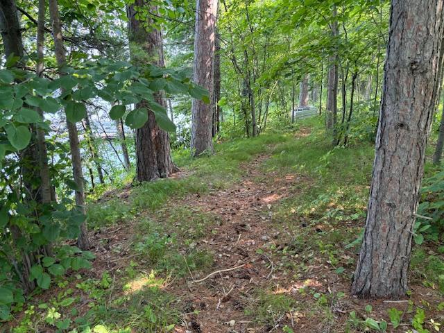 Path Along Lake From Lot 2 to Lot 1