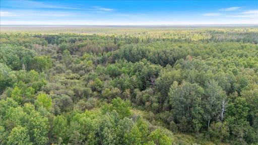 XXX 1262ac Pine Island State Forest, Big Falls, MN 56627