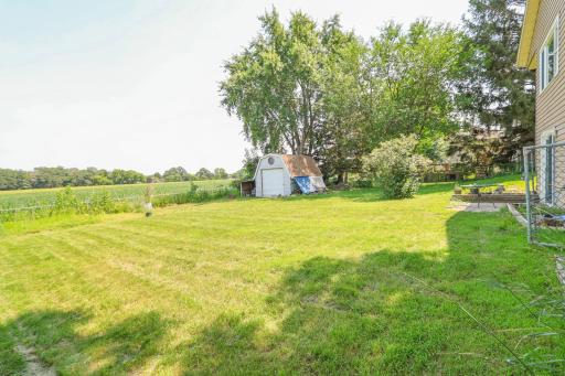 Back yard facing corn field