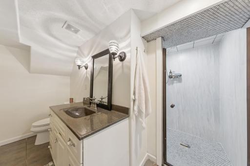Lower level bathroom with huge walk in shower.jpeg