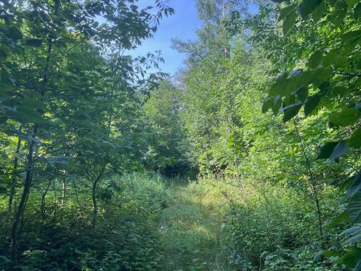 1295 East Superior Street, Isle, MN 56342
