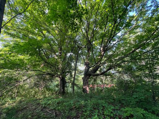 1295 East Superior Street, Isle, MN 56342